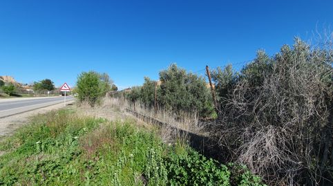 ESPECTACULAR FINCA DE OLIVOS , VALLADA EN GUADIX, immagine 2