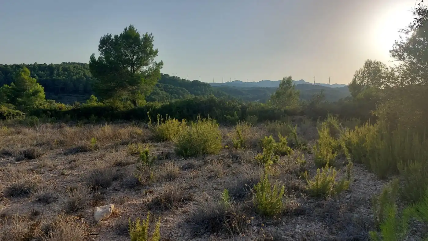 Terreno rustico in vendita a El Perelló, imagen 7