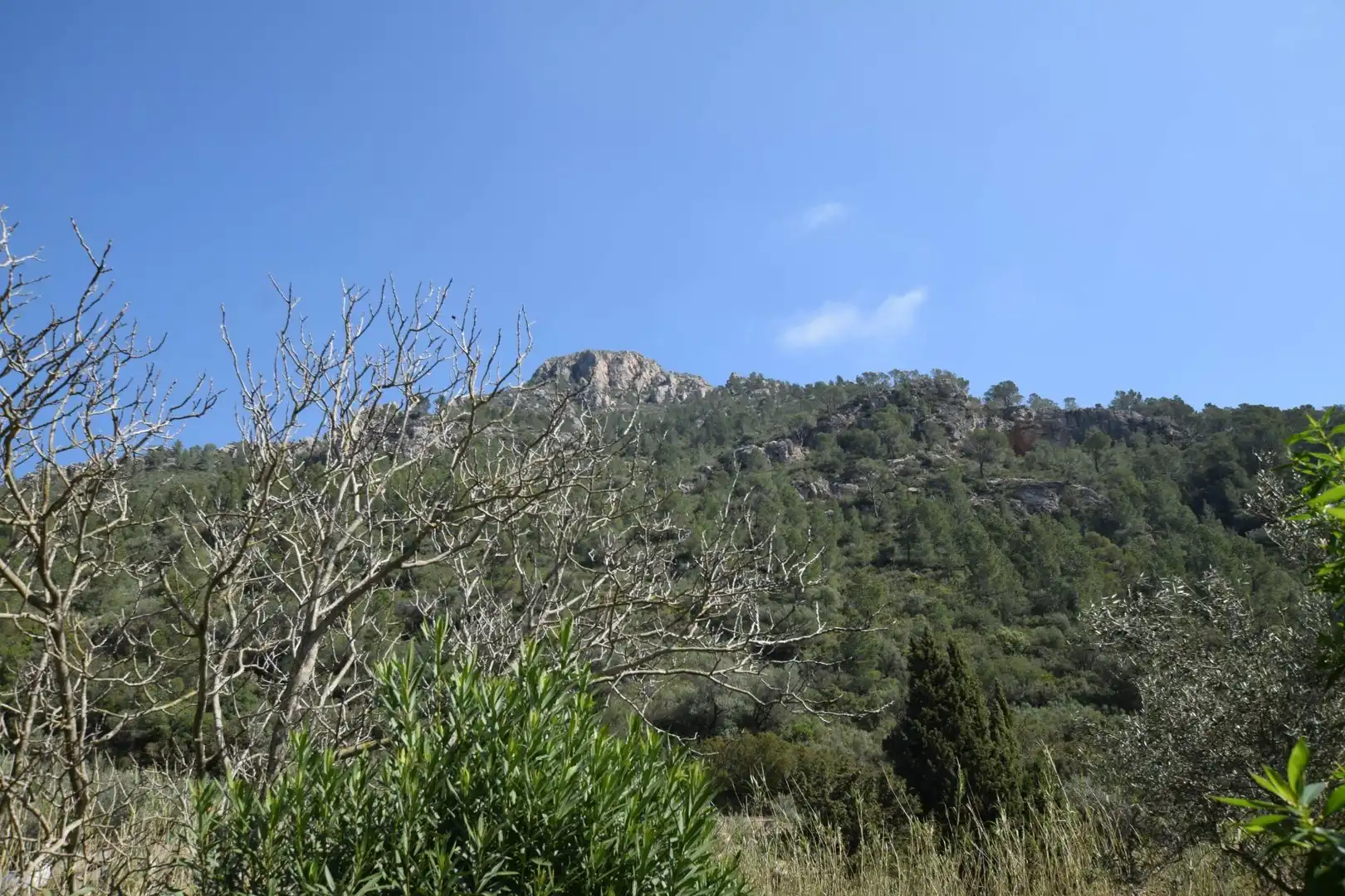 Vista exterior de Casa o xalet en venda en Alfara de Carles amb Terrassa, Traster i Piscina