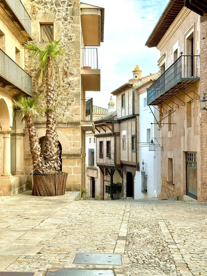 Vista exterior de Apartamento en venta en  Palma de Mallorca