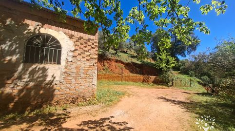 Foto 2 de Terreny en venda a Camino de la Ermita, 18, Las Navas de la Concepción, Sevilla