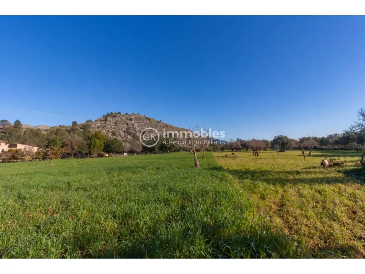 Houses for sale in Pollença Poble