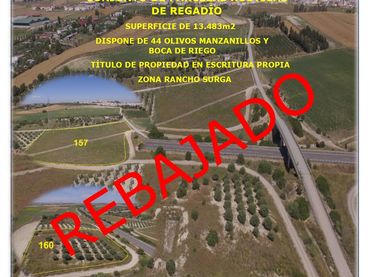 Terreno rustico in vendita a Las Cabezas de San Juan