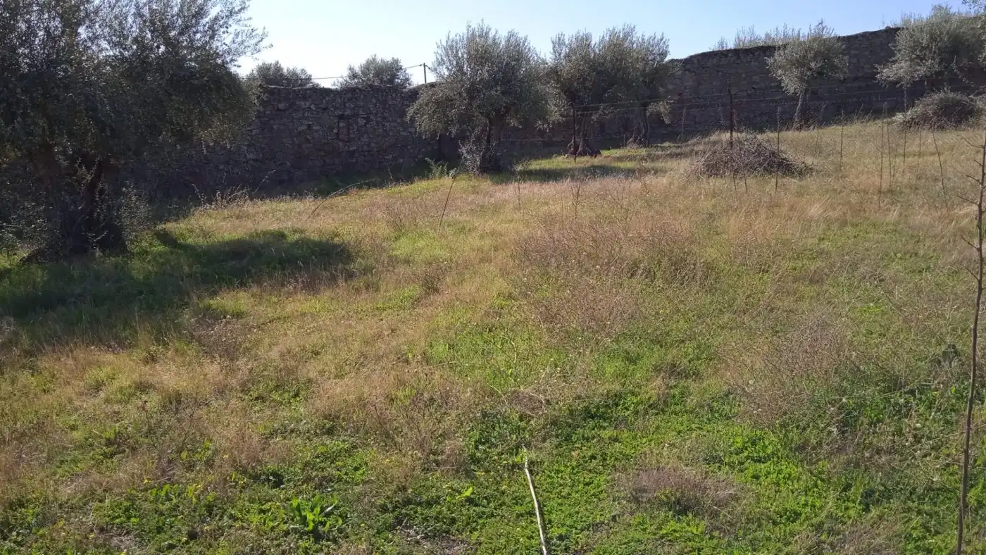 Terreni e lotti in vendita a Valdefuentes, imagen 4
