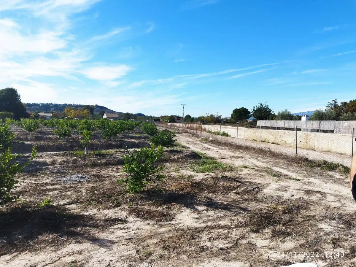 Terreny residencial en venda a El Llano, imagen 12