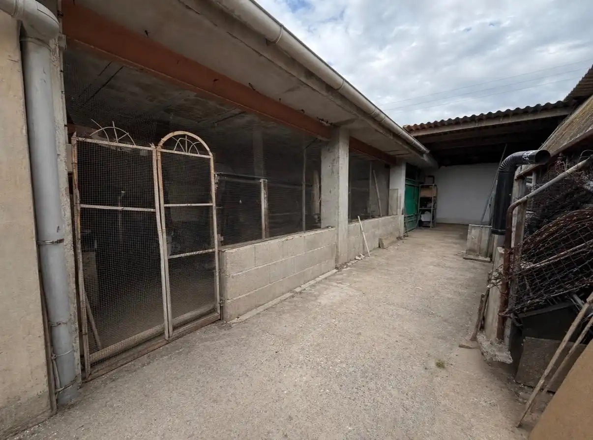 Casa o chalet en venta en Llíria