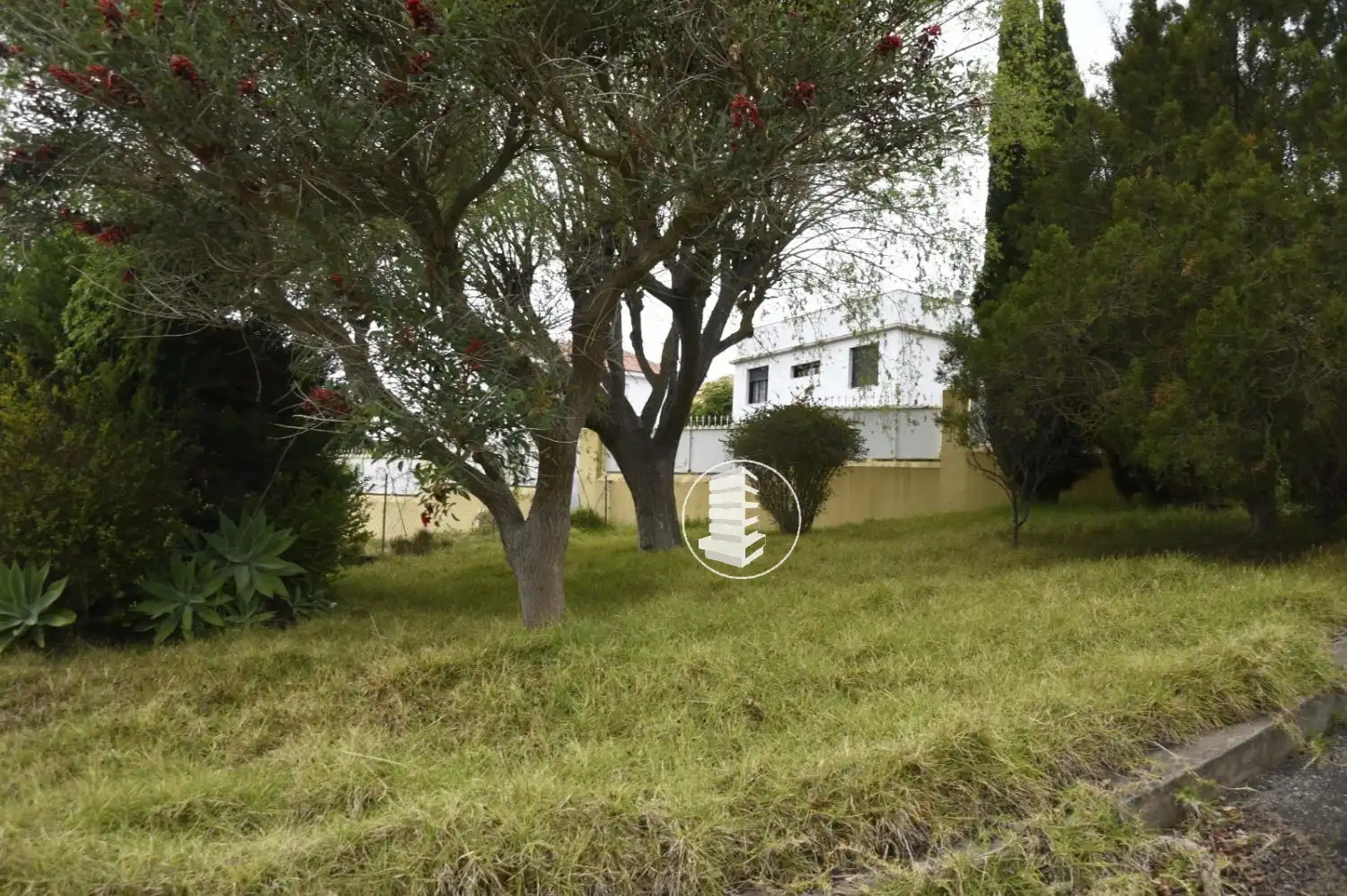 Terrenys i solars en venda a Vega Lagunera, imagen 3