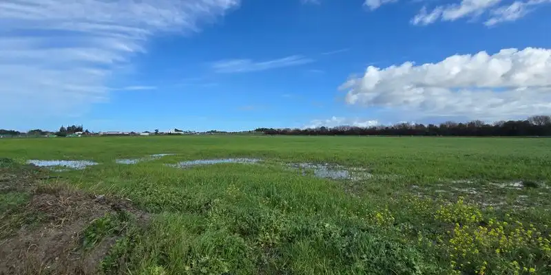 Terreni e lotti in vendita a Camino De Múnive - Reyerta, imagen 2