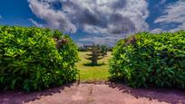 Jardí de Casa o xalet en venda en Santander amb Terrassa