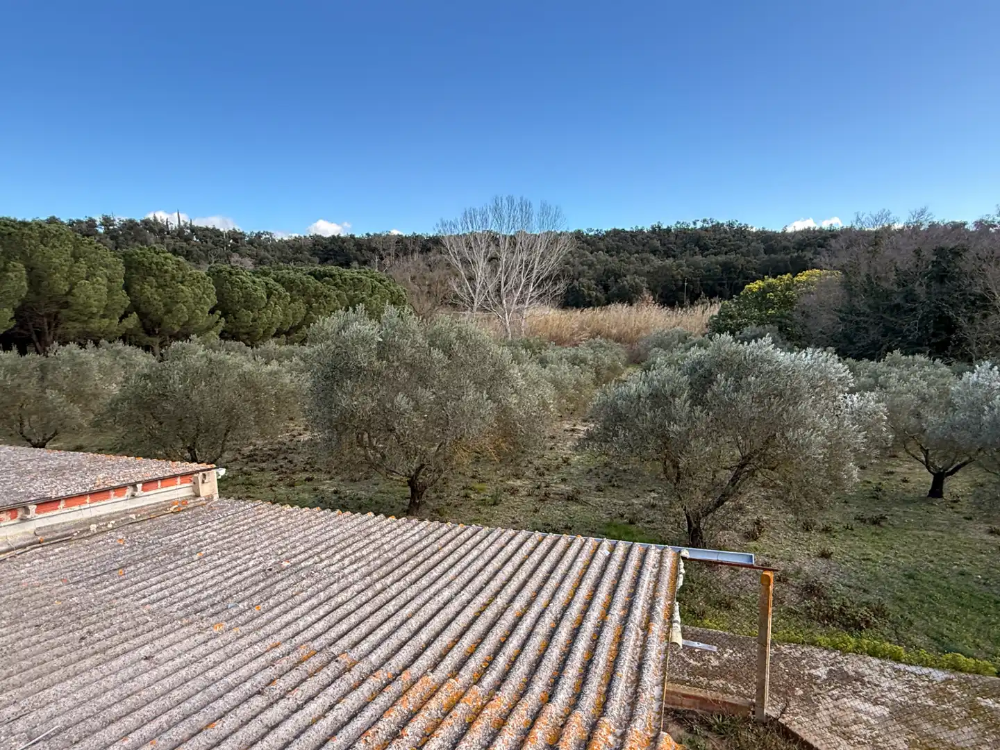 Finca rústica en venda a Agullana