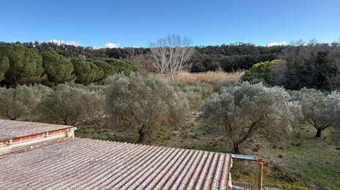 Foto 3 de Finca rústica en venda a Agullana, Girona