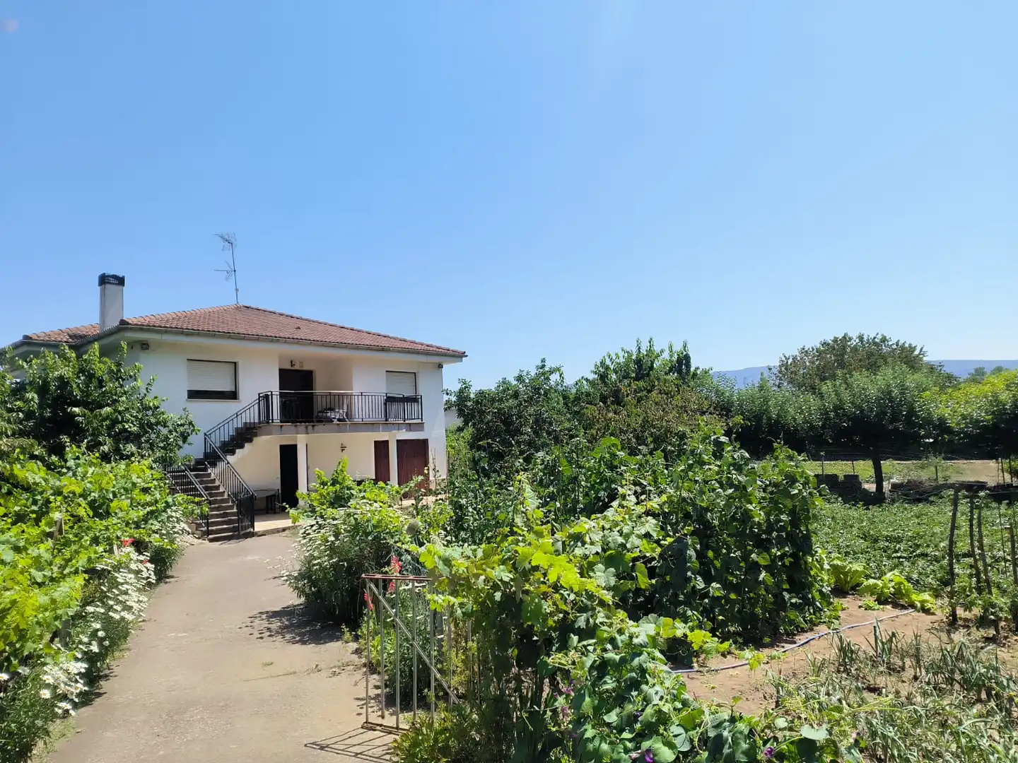 Vista exterior de Casa o chalet en venta en Medina de Pomar con Calefacción, Jardín privado y Terraza