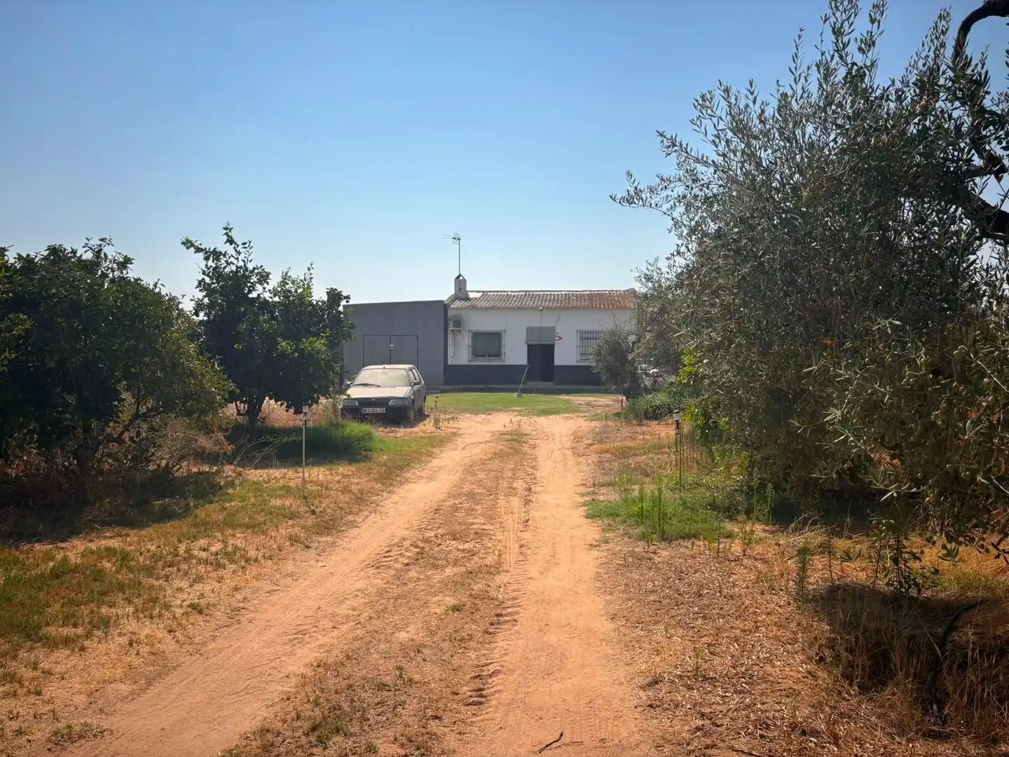 Finca rústica en venda en Huévar del Aljarafe amb Jardí privat, Traster i Piscina