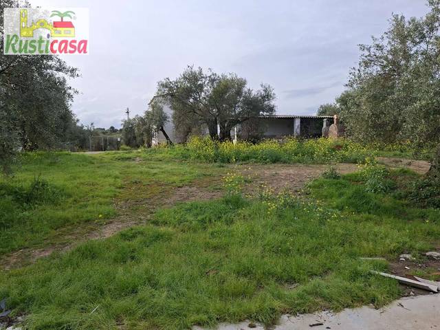 Casa-chalet en Venta en Bailén