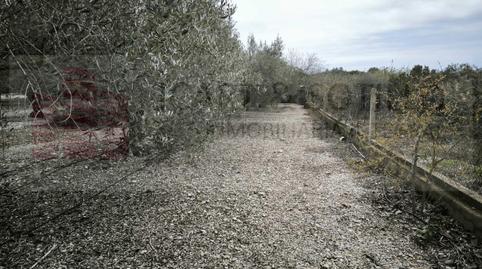 Foto 4 de Finca rústica en venda a  Poligono 17, Pueblo, Benicarló