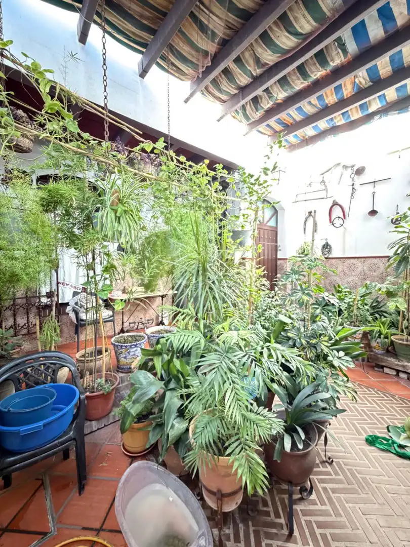 Jardí de Casa o xalet en venda en Sanlúcar la Mayor amb Calefacció i Terrassa