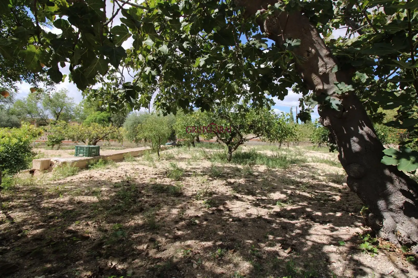 Casa o xalet en venda en Alicante / Alacant amb Aire condicionat, Calefacció i Jardí privat