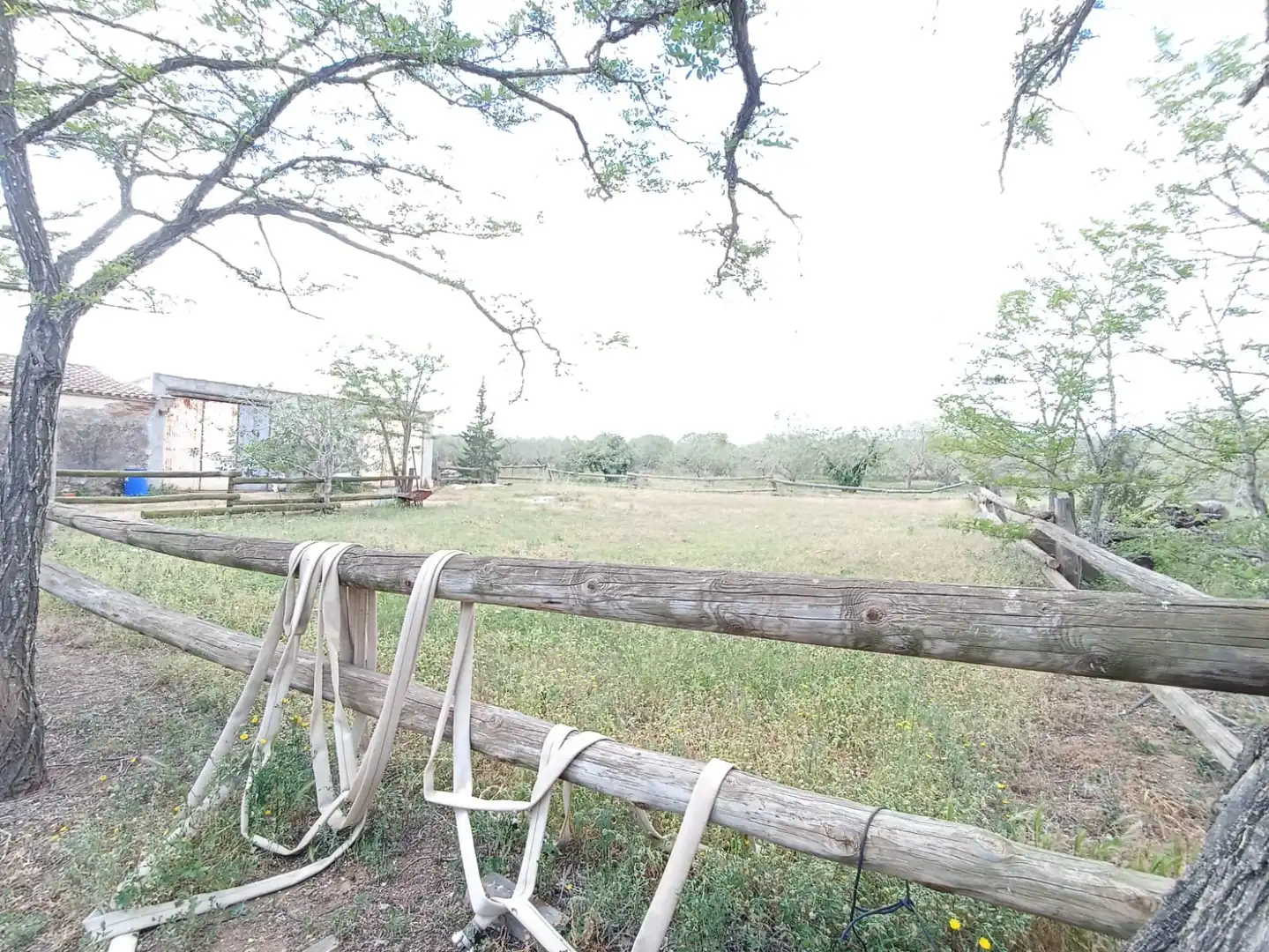 Rural land for sale in Carretera, imagen 8