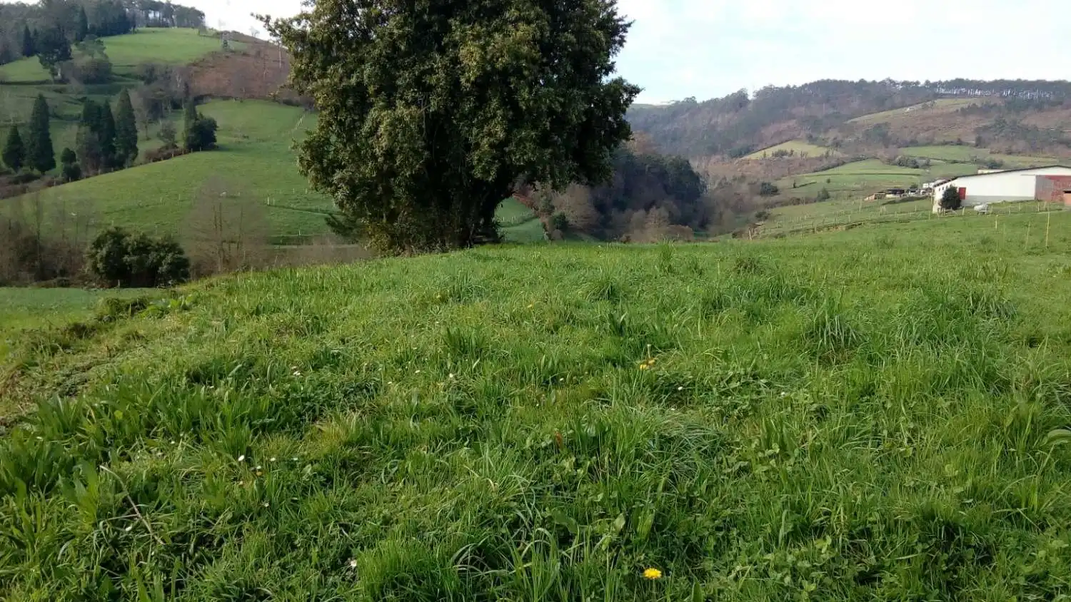 Grundstücke und Bauplätze zum Verkauf in Valdés - Luarca, imagen 2