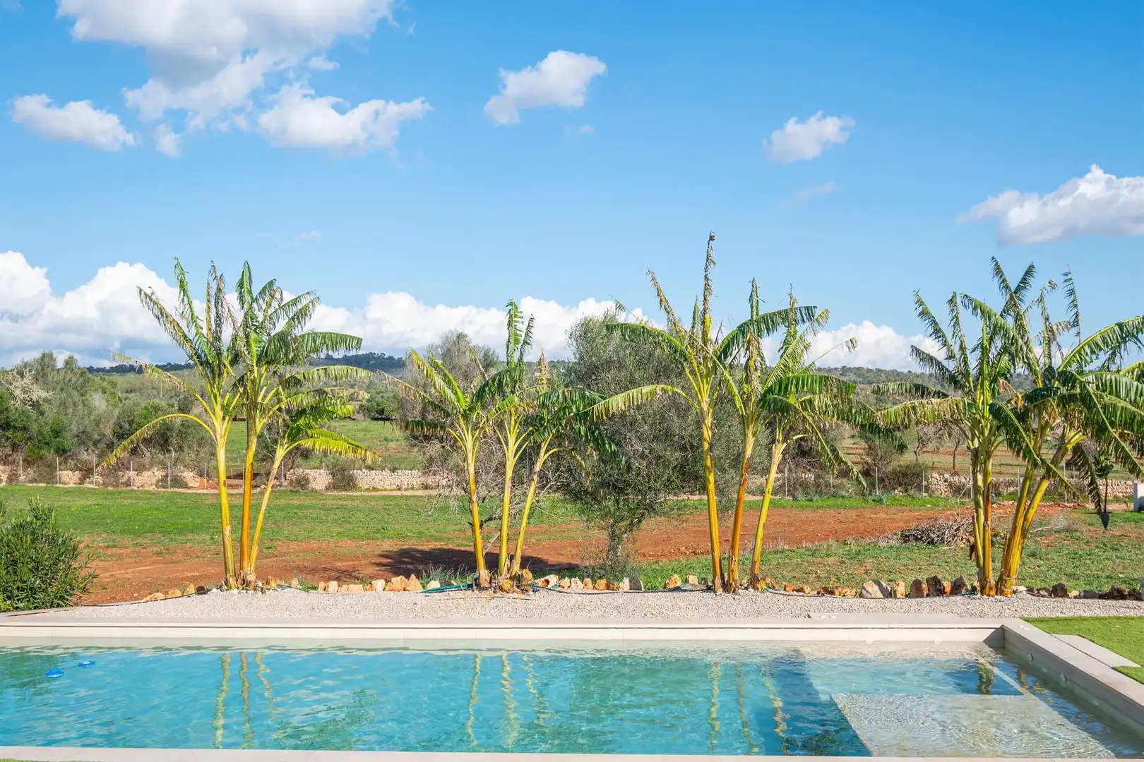 Piscina de Finca rústica de alquiler en Campos con Jardín privado, Terraza y Piscina