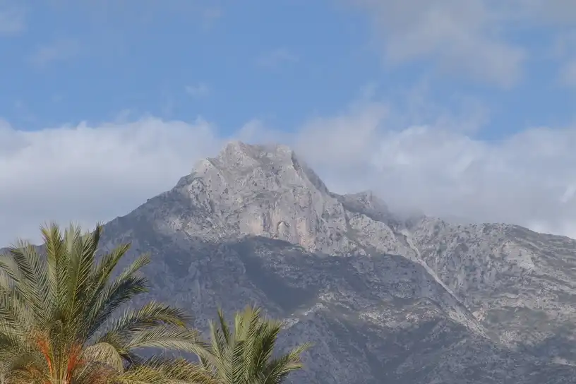 Houses for rent in Marbella  with Furnished and Pets allowed