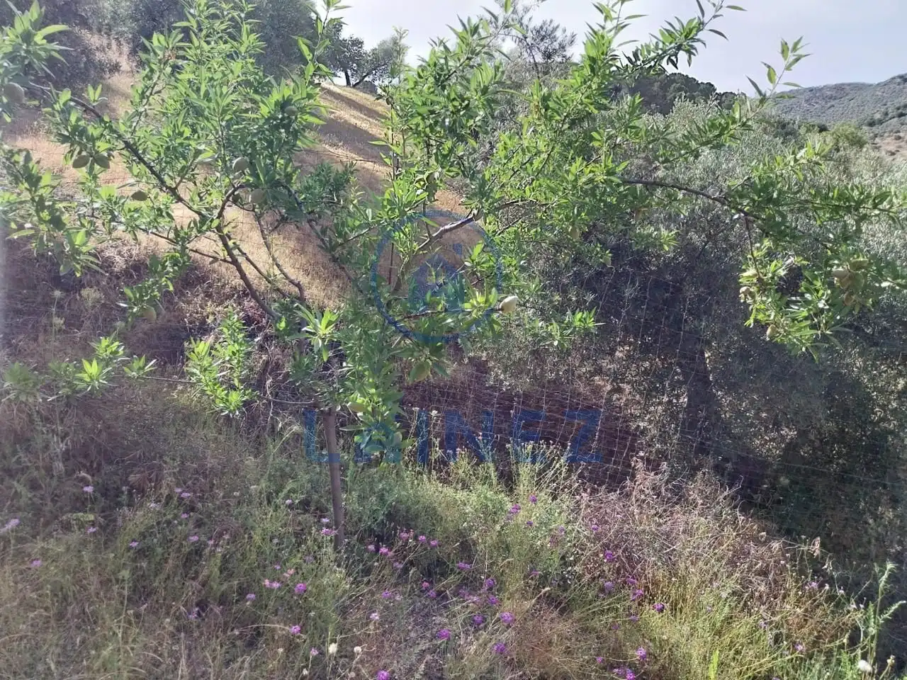 Grundstücke und Bauplätze zum Verkauf in Norte-Sierra, imagen 29