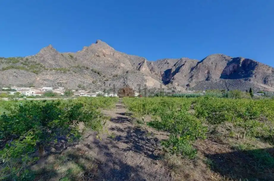 Houses for sale in Barrio Cementerio S F, Callosa de Segura