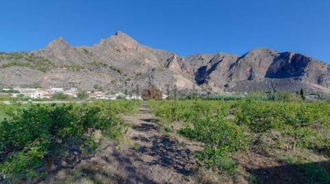 Foto 4 de Casa o xalet en venda a Barrio Cementerio S F, Callosa de Segura, Alicante