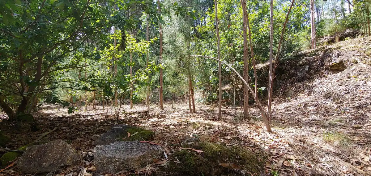Casa o xalet en venda en Salceda de Caselas