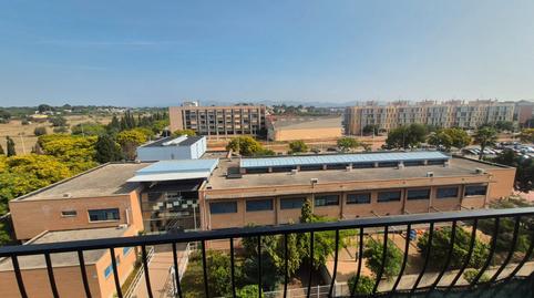 Foto 2 de Pis de lloguer a Carrer de Barcelona, 35, Moncada, Valencia