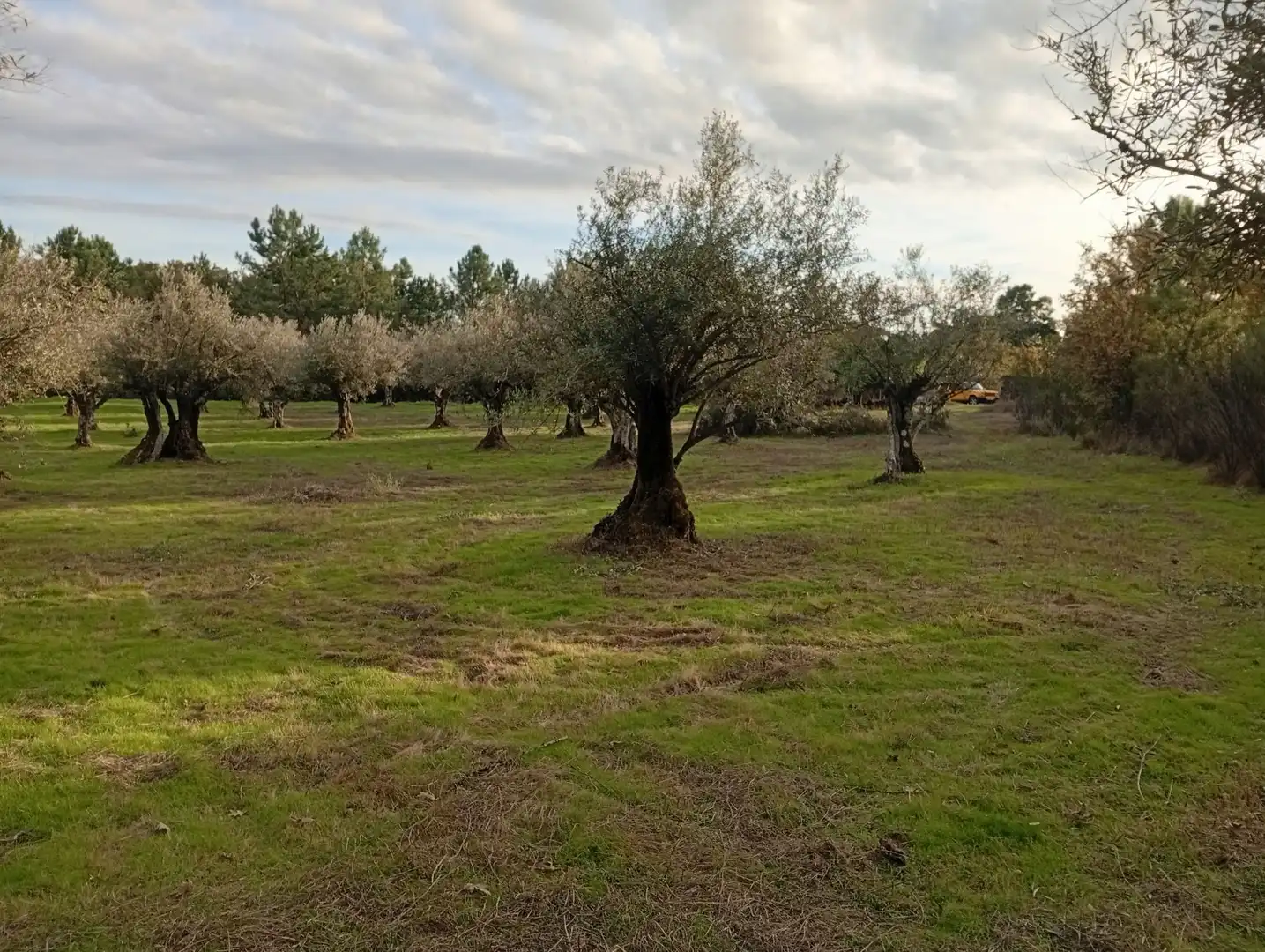 Terreni e lotti in vendita a Villanueva de la Vera, imagen 7