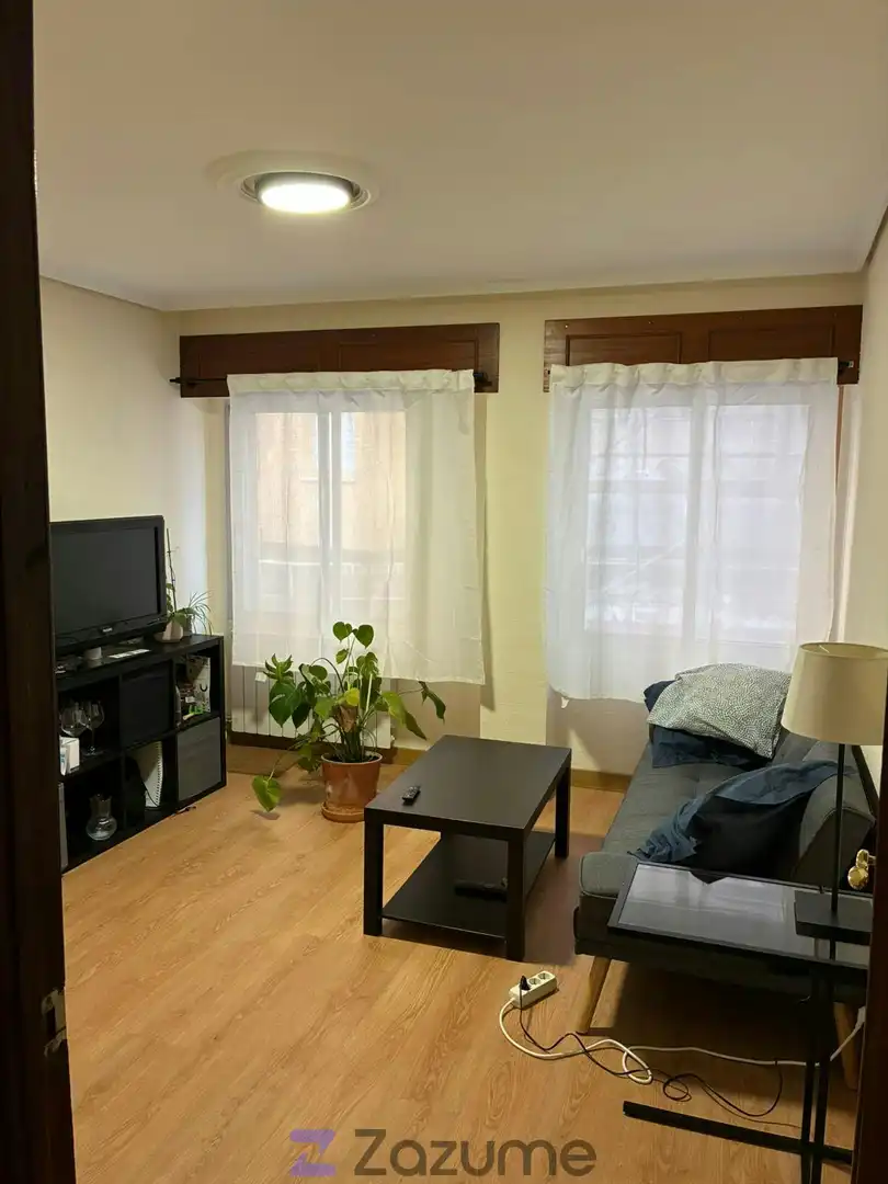 Living room of Flat for rent in Valladolid  with Heating, Parquet flooring and Furnished