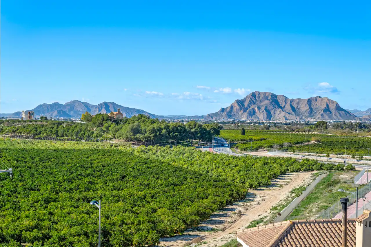 Exterior view of Apartments for sale in Algorfa