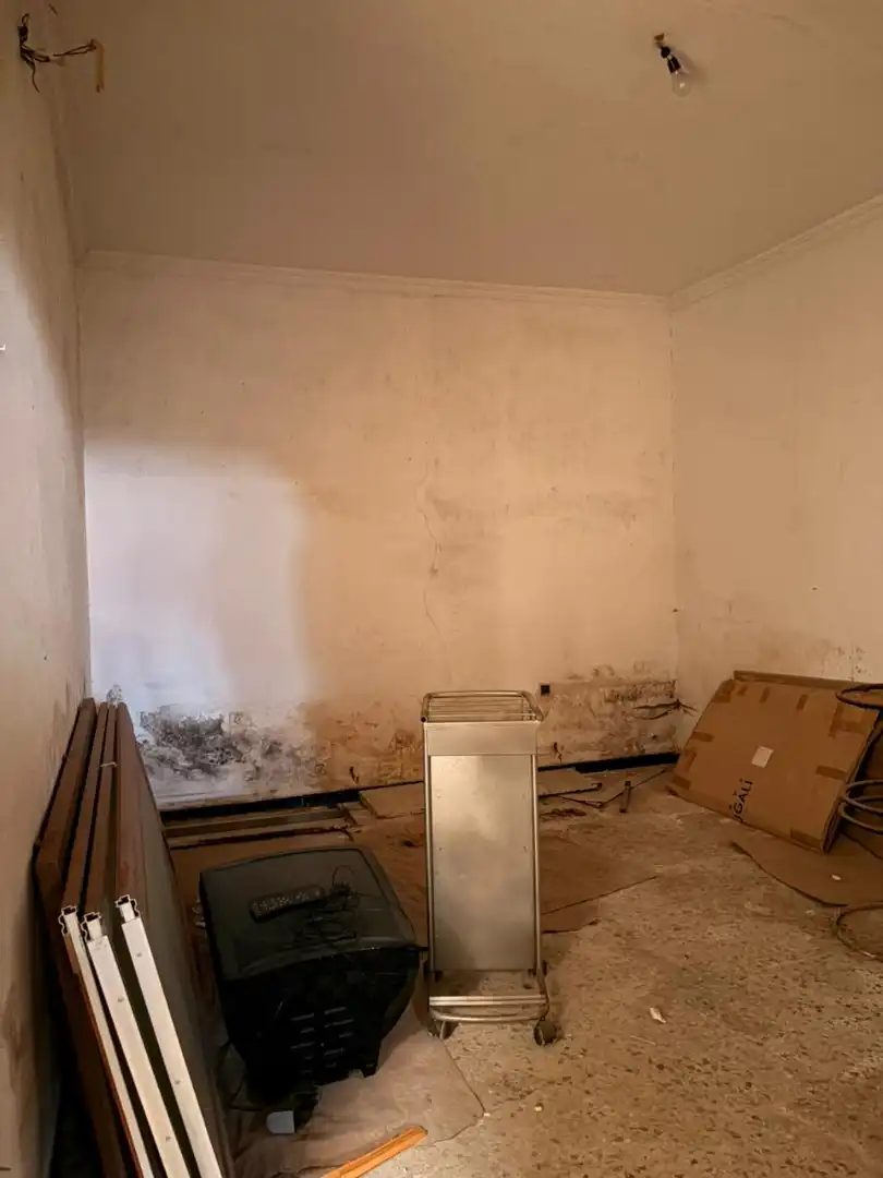 Casa amb jardí en venda a Calle de la Palma, imagen 22