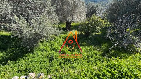 Foto 3 de Casa o chalet en venta en Camí de Les Saleres, Parcent, Alicante