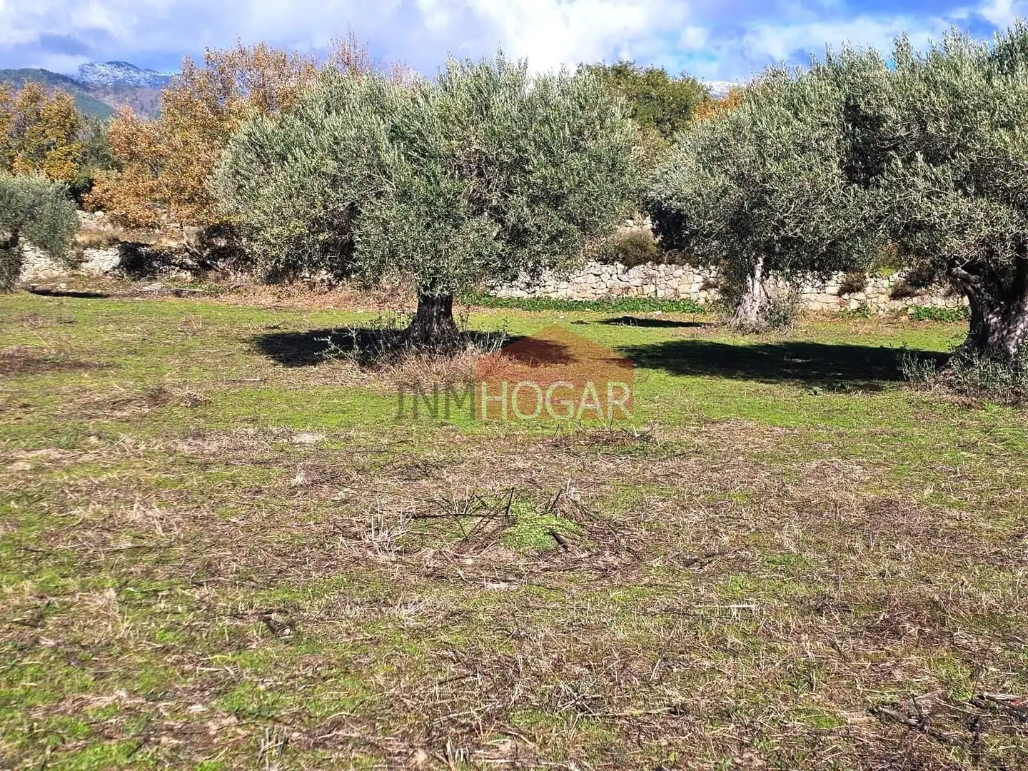 Terreni e lotti in vendita a La Adrada, imagen 16