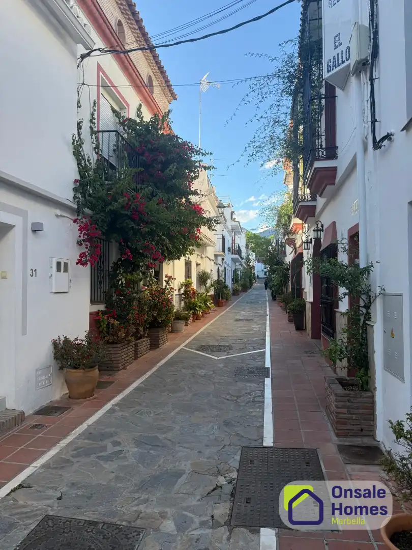 Vista exterior de Casa adosada en venda en Marbella amb Jardí privat i Balcó