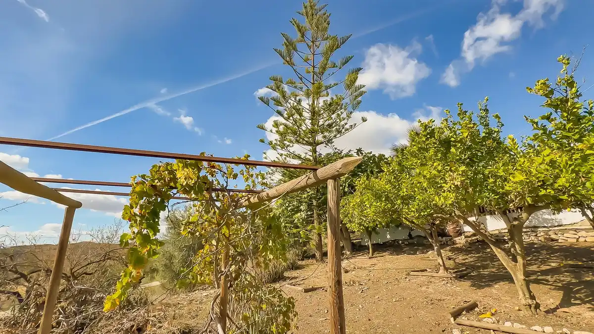 Finca rústica en venta en Villanueva de la Concepción con Jardín privado, Terraza y Trastero