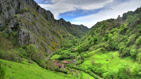 Foto 5 de Casa o xalet en venda a Piloña, Asturias