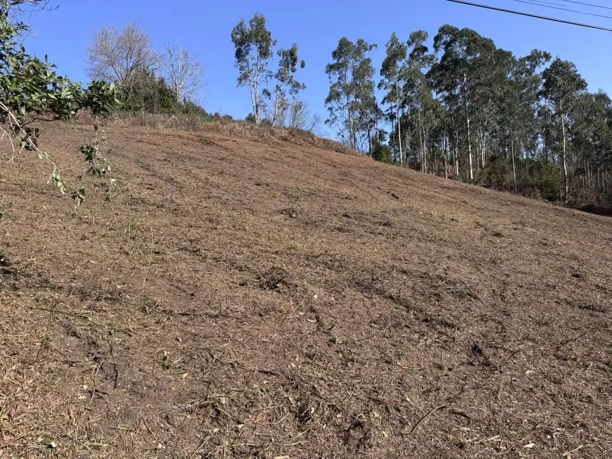 Grundstücke und Bauplätze zum Verkauf in Vibaña - Ardisana - Caldueño, imagen 9