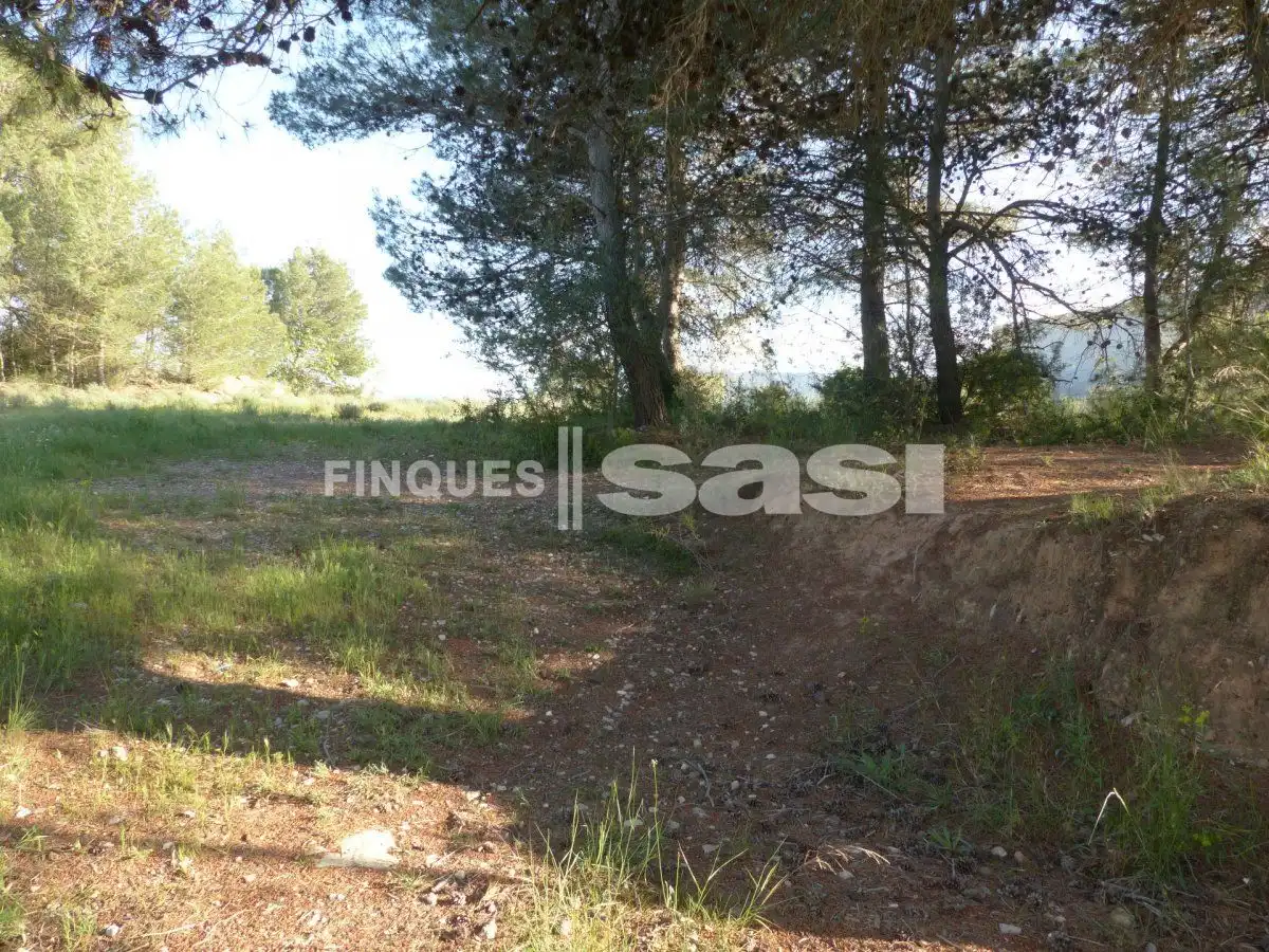 Residential land for sale in Sesoliveres - Pla de la Massa, imagen 9