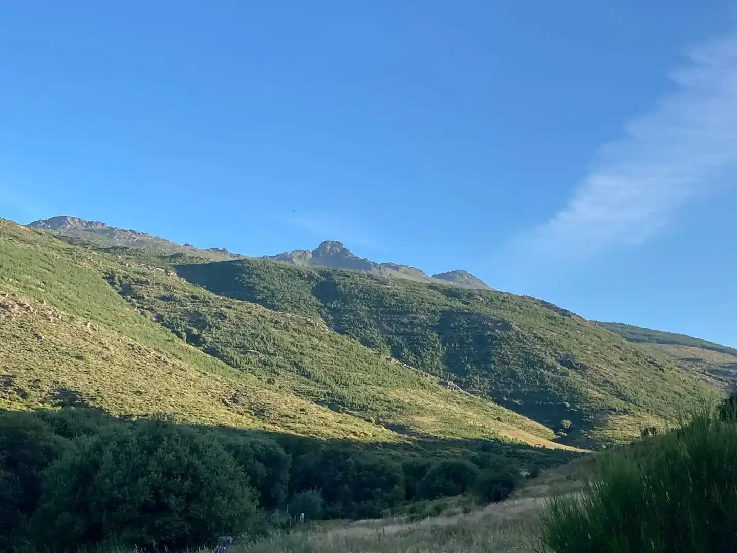 Vista exterior de Casa o xalet en venda en Sotalbo