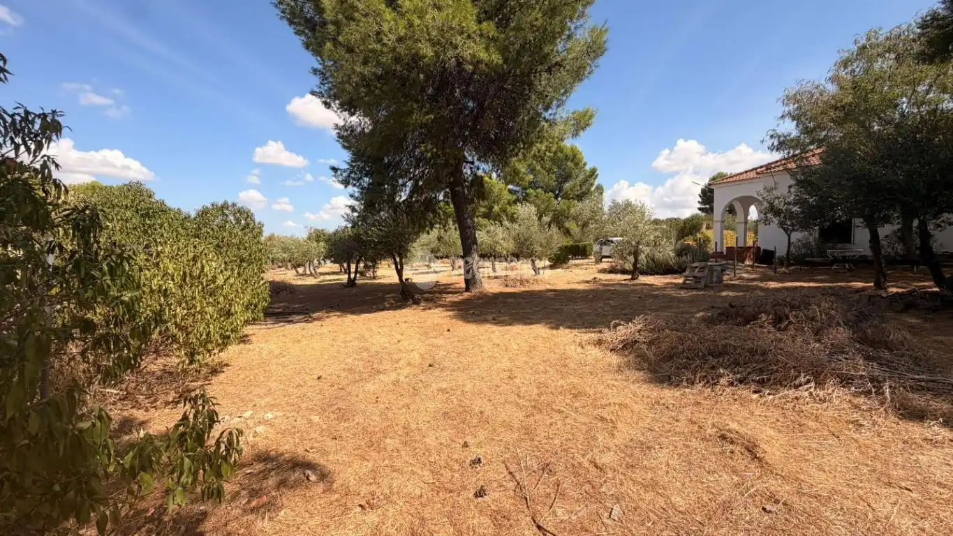 Casa rustica con piscina in vendita a EL ALGARROBO, imagen 18