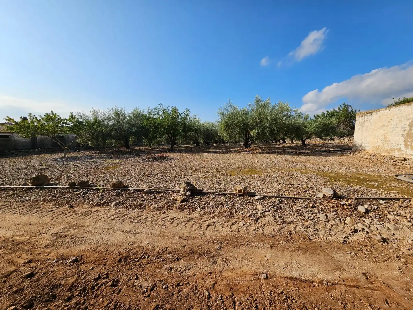 Country house for sale in Alcanar, imagen 26