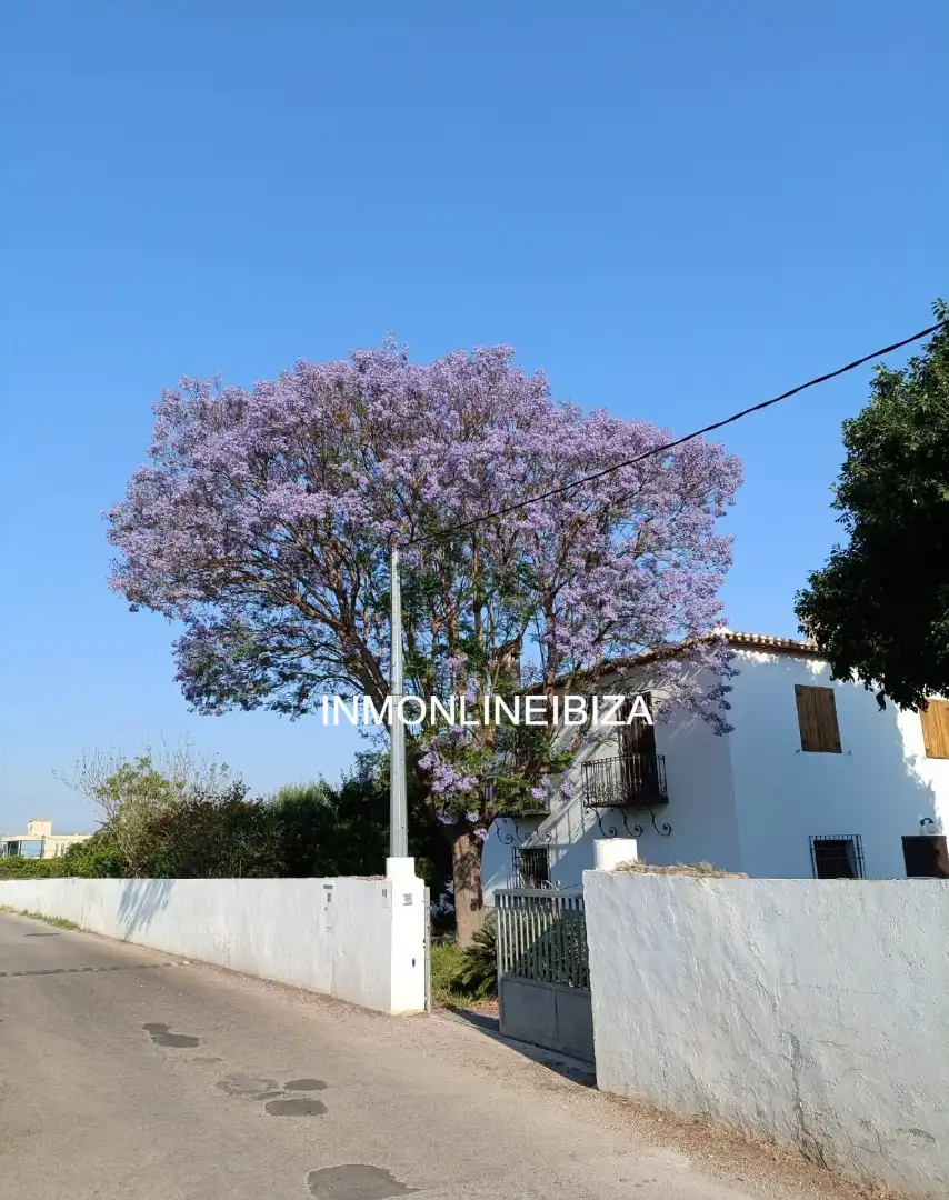 Vista exterior de Casa o xalet en venda en Dénia amb Jardí privat