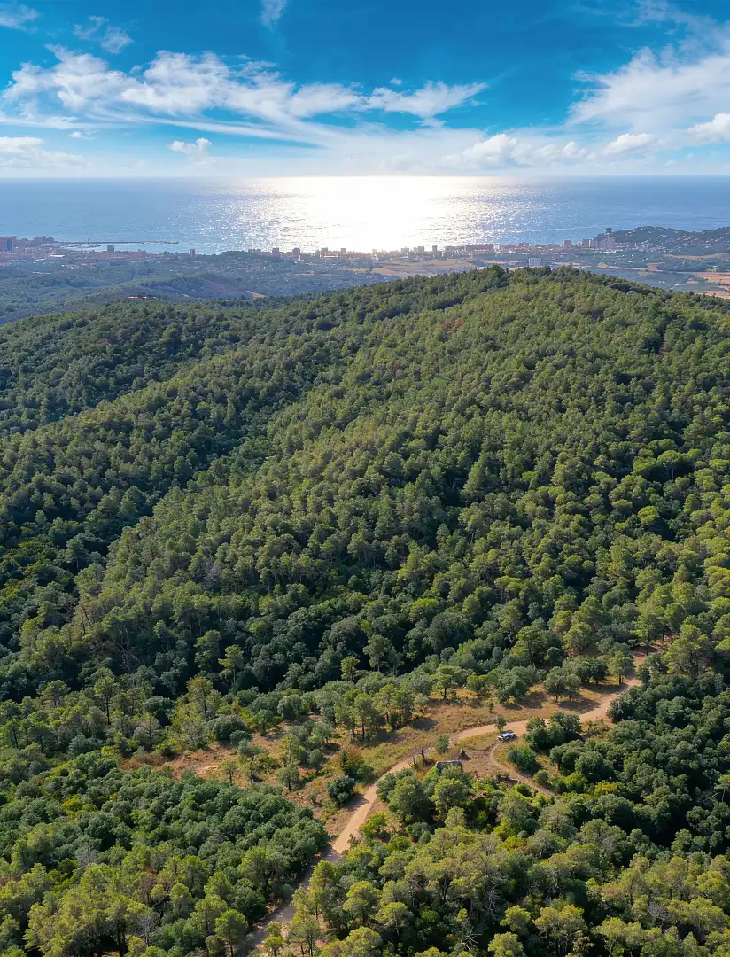 Finca rústica en venta en Calonge i Sant Antoni con Jardín privado