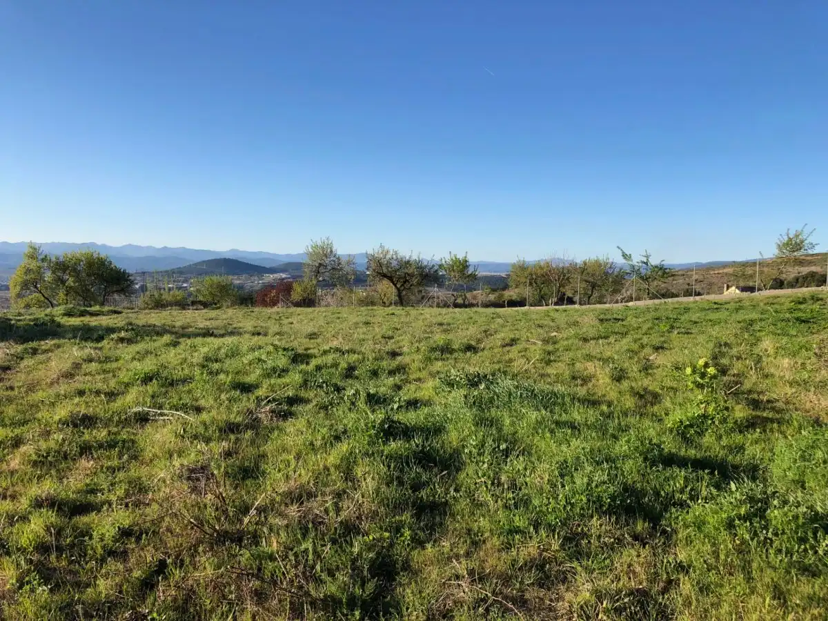 Terreni e lotti in vendita a Área Rural Sur, imagen 7