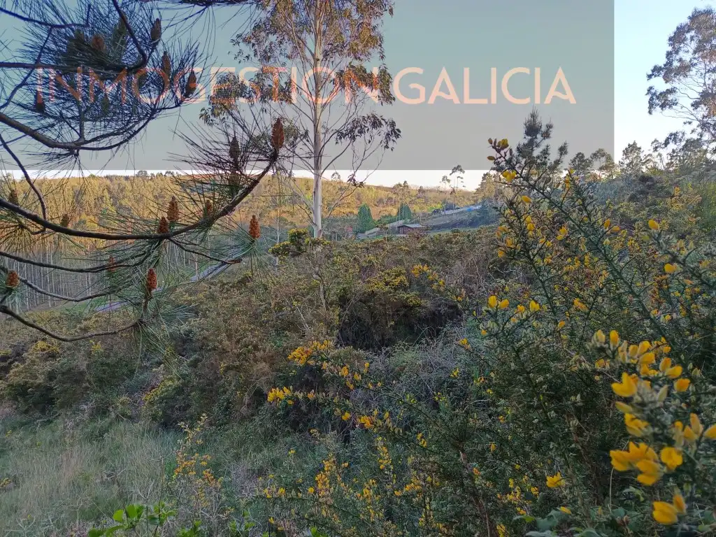 Residential land for sale in Rua Magnolio, imagen 4