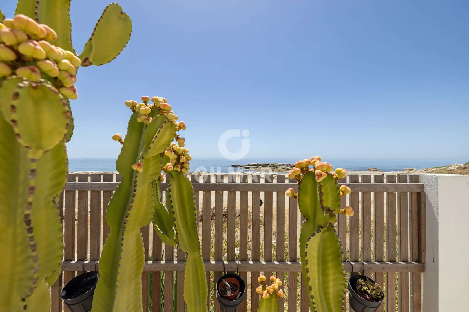 Jardí de Casa adosada en venda en Estepona amb Jardí privat