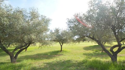 Foto 4 de Apartamento en venta en Calle Madrid, 19, San Jorge / Sant Jordi, Castellón